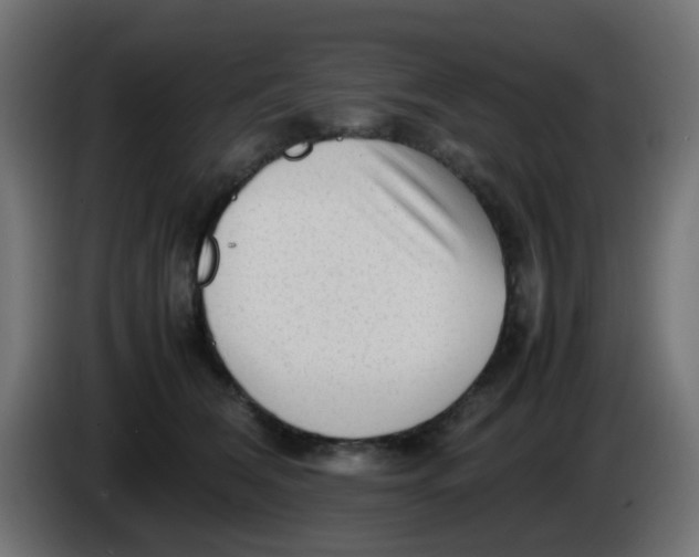 X0000086060612200704132019