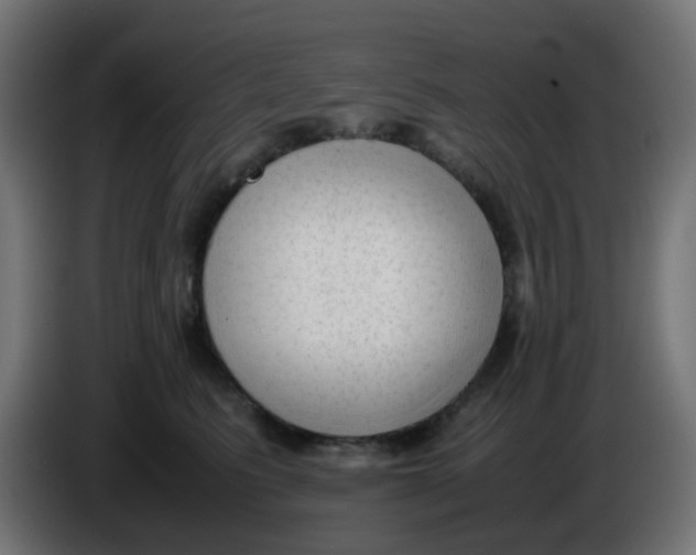 X0000086060615200704132019