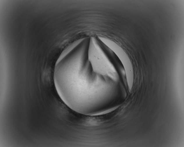 X0000086060616200704132019