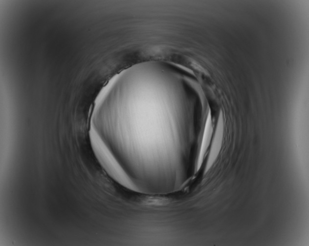 X0000086060617200704132019