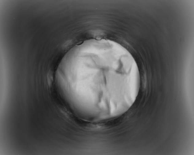 X0000086060618200704132019