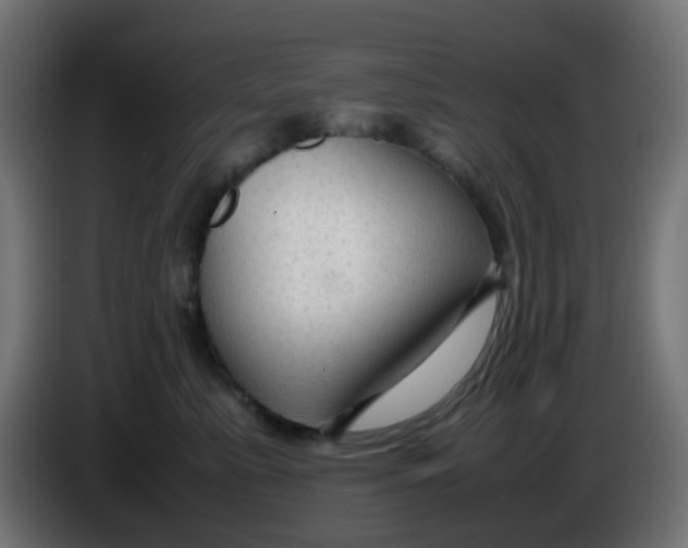 X0000086060619200704132019