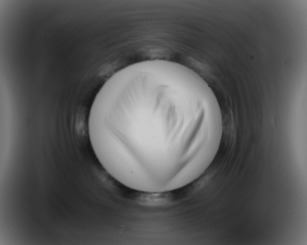 X0000086060622200704132019