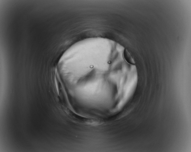 X0000086060624200704132019