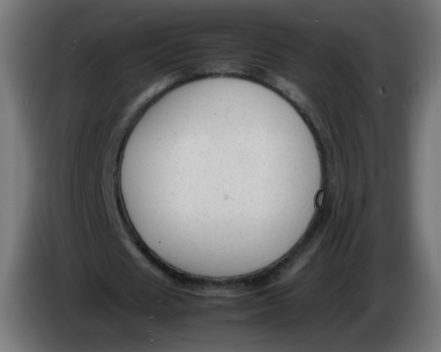 X0000086060625200704132018