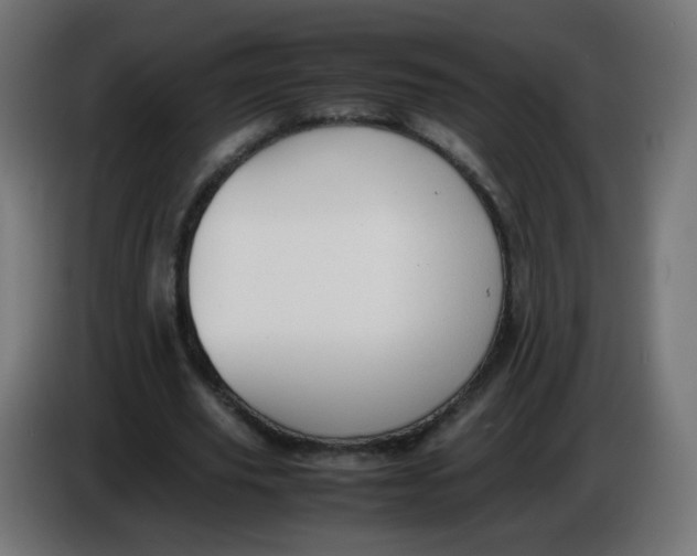 X0000086060629200704132019