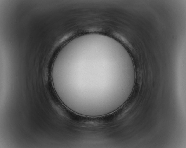 X0000086060631200704132019