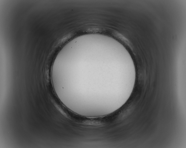 X0000086060633200704132019