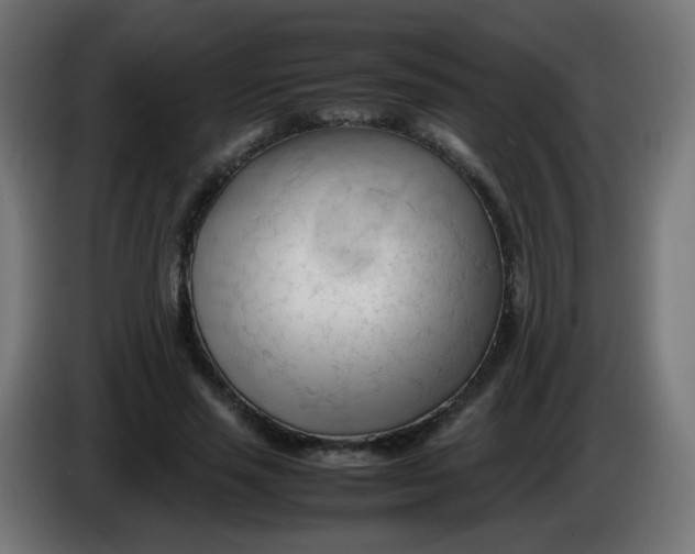 X0000086060637200704132019