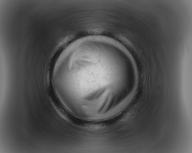 X0000086060638200704132019