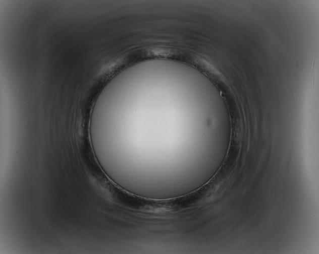 X0000086060639200704132019