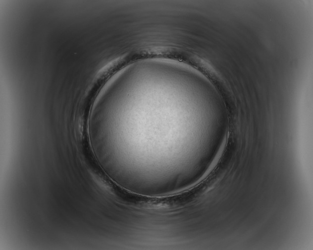 X0000086060640200704132019