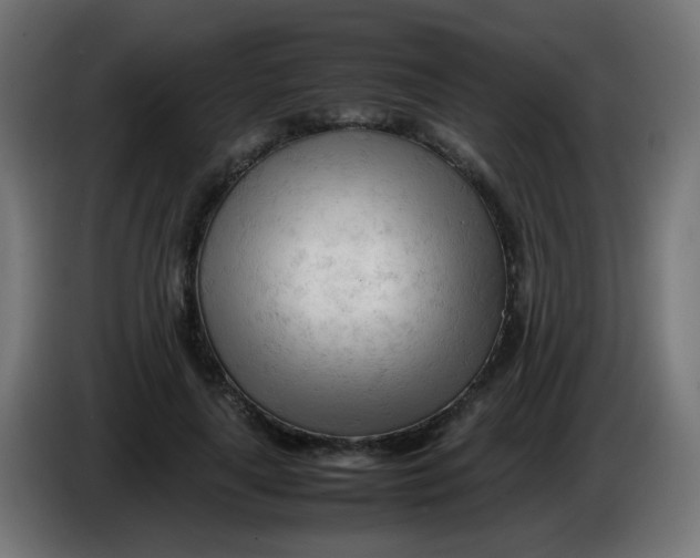 X0000086060643200704132019