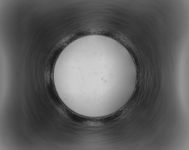 X0000086060644200704132019