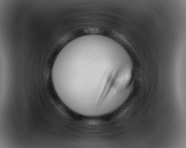 X0000086060645200704132019