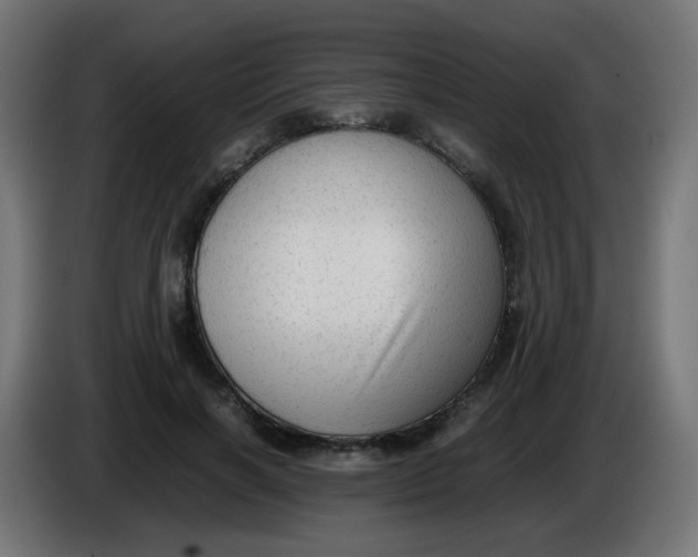 X0000086060646200704132019