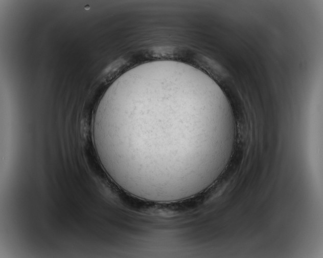 X0000086060648200704132019