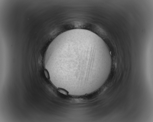 X0000086060650200704132019