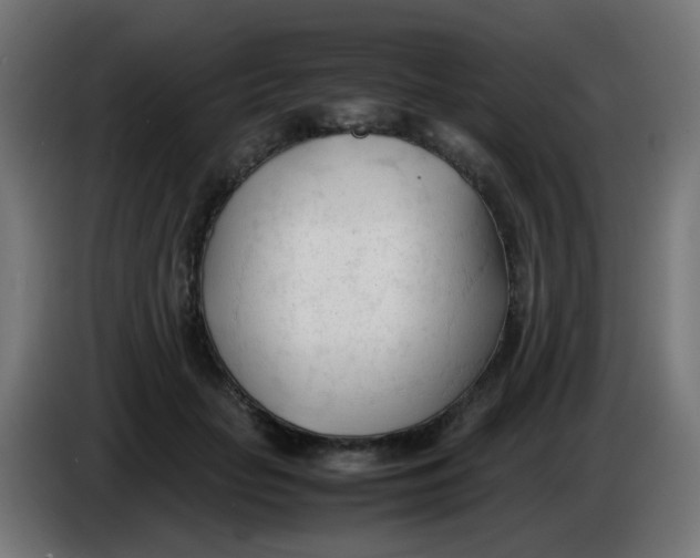 X0000086060653200704132019