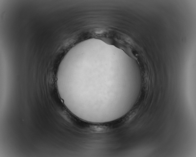 X0000086060654200704132019