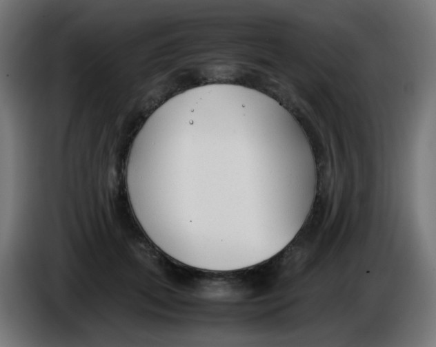 X0000086060655200704132019