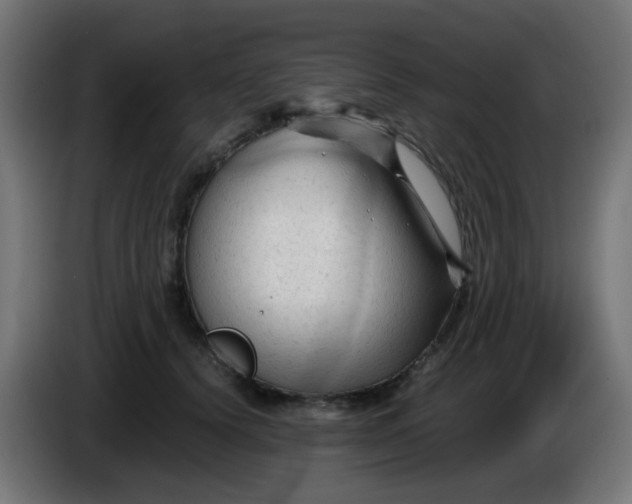 X0000086060656200704132019