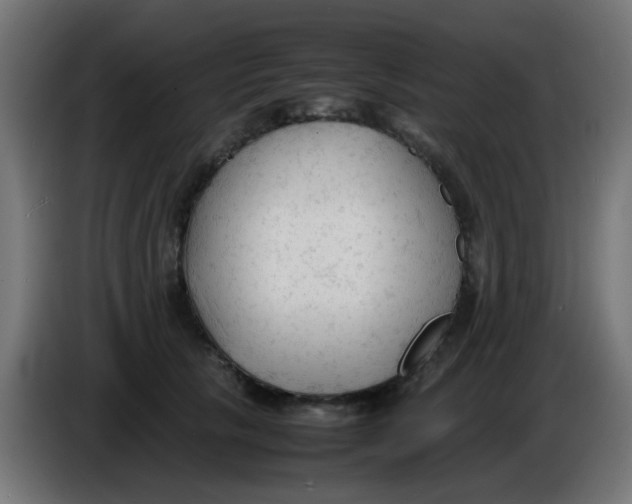 X0000086060657200704132019