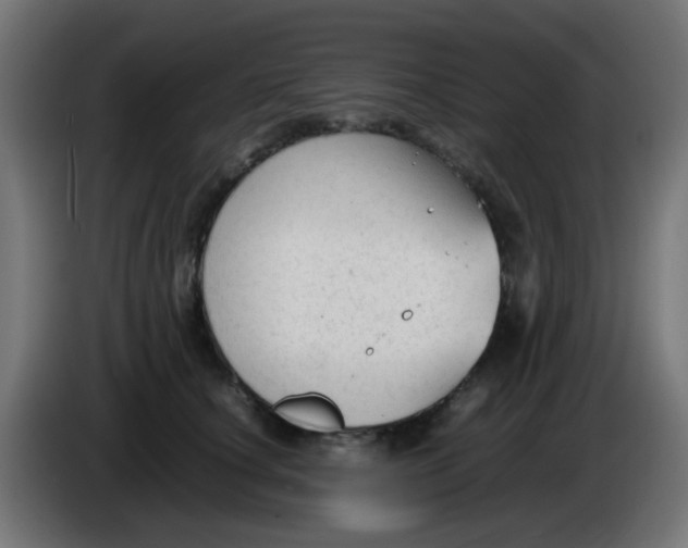 X0000086060660200704132019