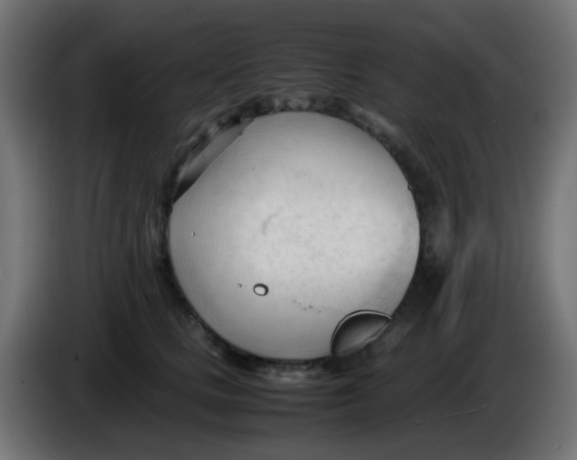 X0000086060661200704132019