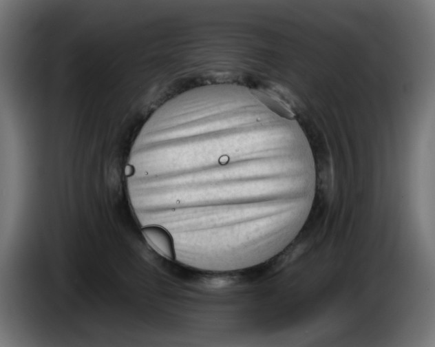 X0000086060662200704132019