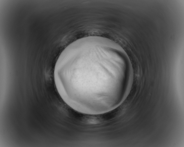 X0000086060663200704132019