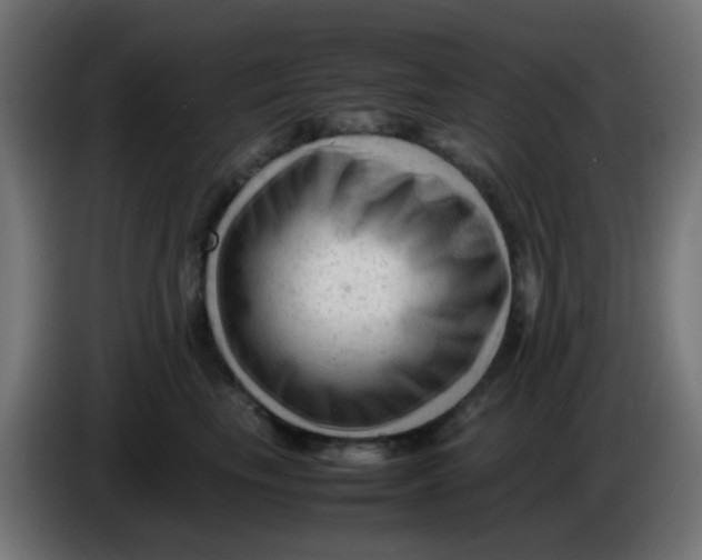 X0000086060665200704132019