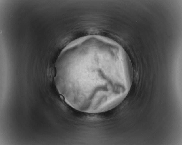 X0000086060666200704132019