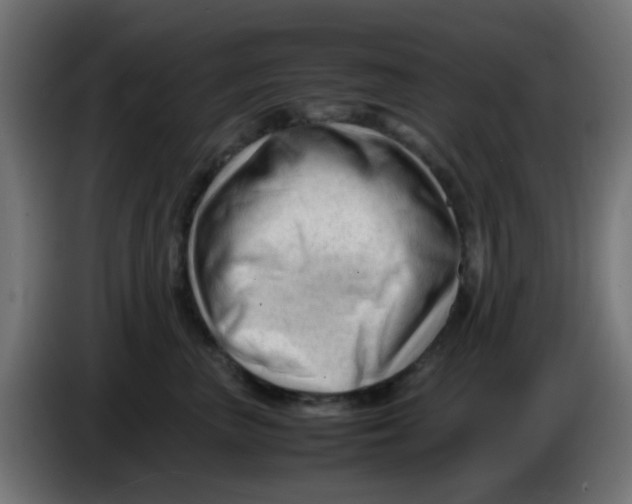 X0000086060667200704132019