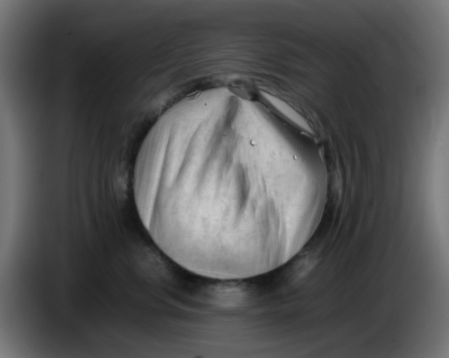 X0000086060668200704132019