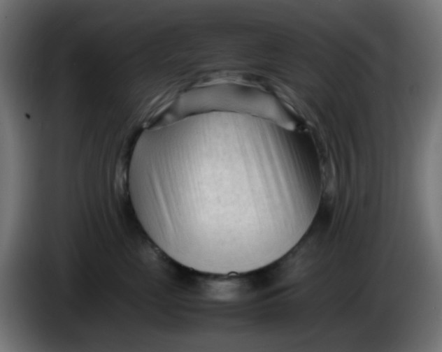 X0000086060669200704132019