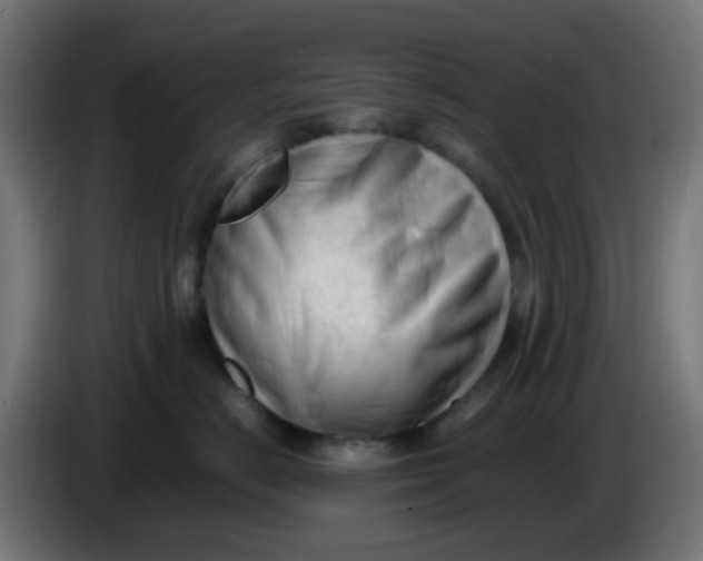 X0000086060670200704132019