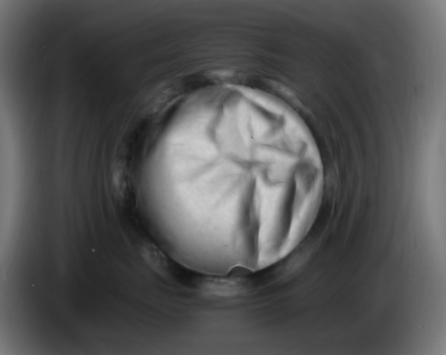 X0000086060671200704132019