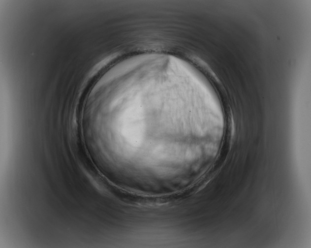 X0000086060674200704132018