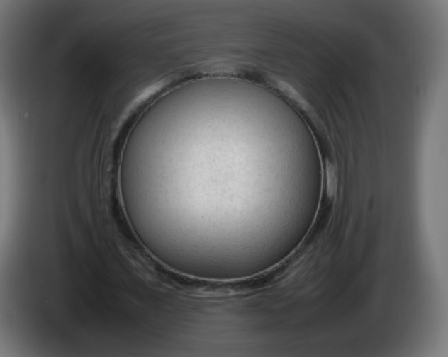 X0000086060675200704132018