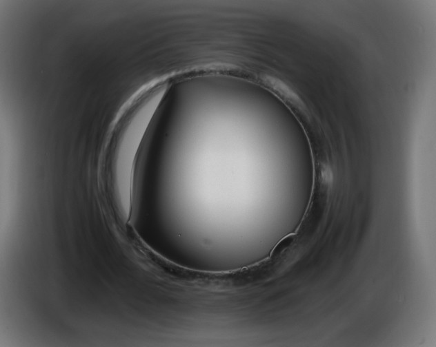 X0000086060676200704132018