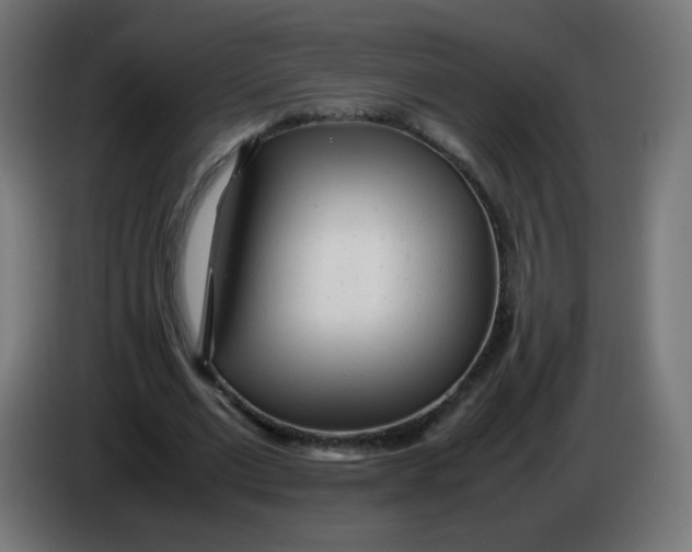 X0000086060677200704132018