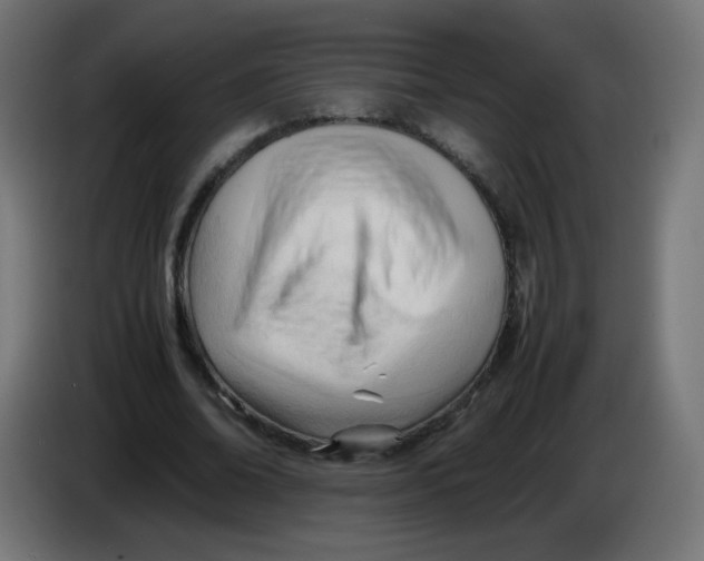 X0000086060678200704132018