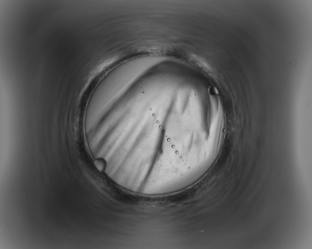 X0000086060679200704132018