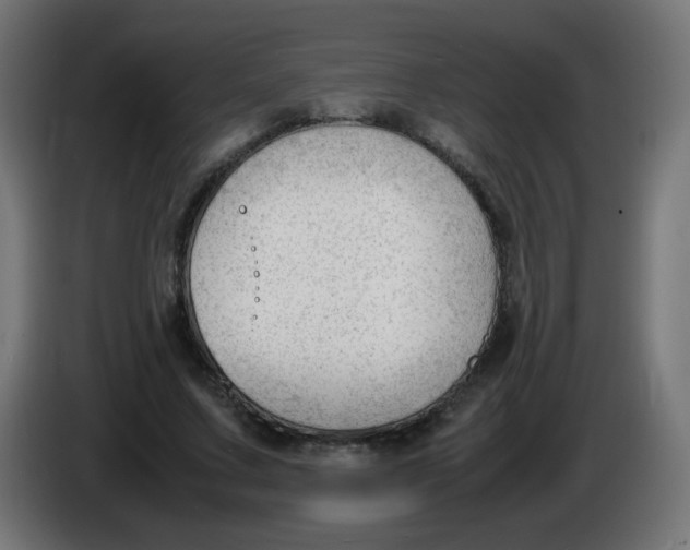 X0000086060683200704132018