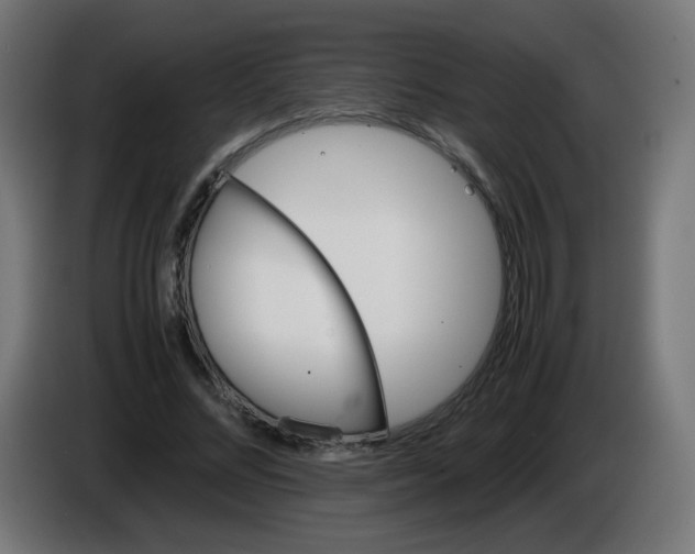 X0000086060684200704132018