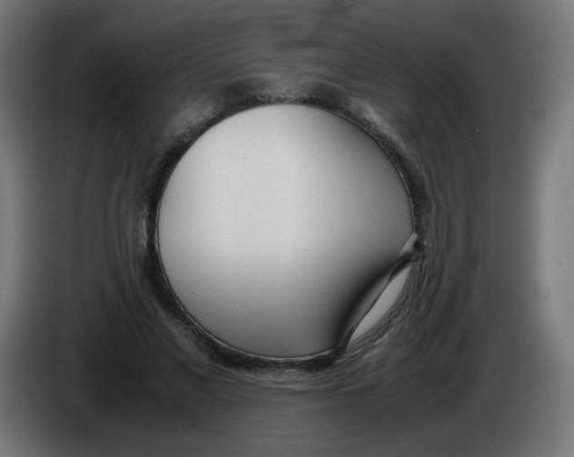 X0000086060685200704132018