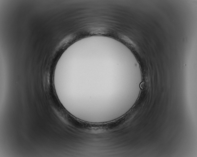 X0000086060686200704132018