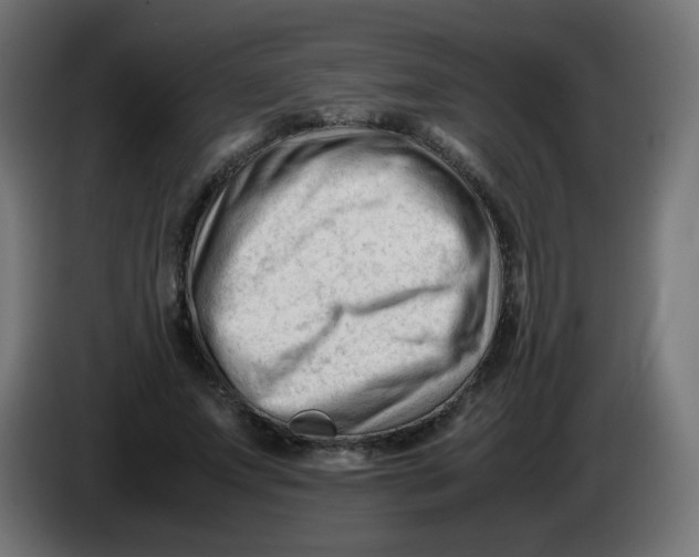 X0000086060687200704132018