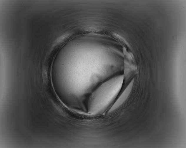 X0000086060688200704132018